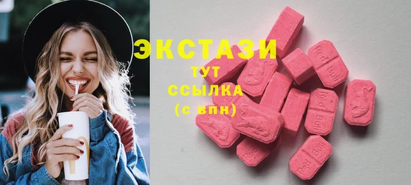 соль ск Ельня