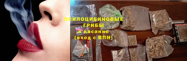 соль ск Ельня