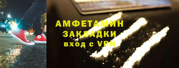 соль ск Ельня