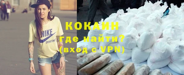 соль ск Ельня