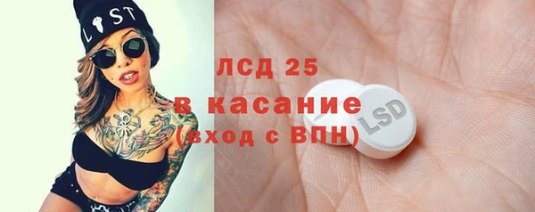 соль ск Ельня