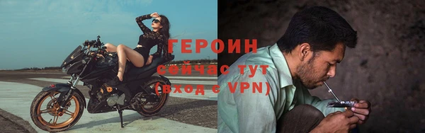 соль ск Ельня