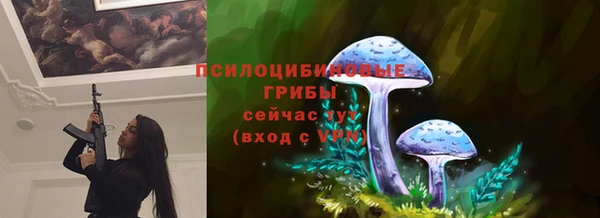 таблы Елизово
