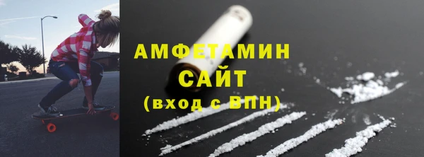 соль ск Ельня