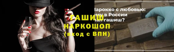 соль ск Ельня