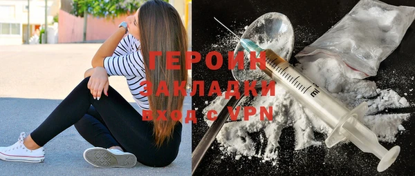 соль ск Ельня
