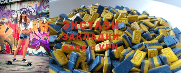 соль ск Ельня