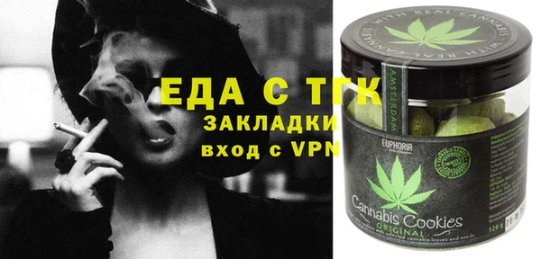 соль ск Ельня
